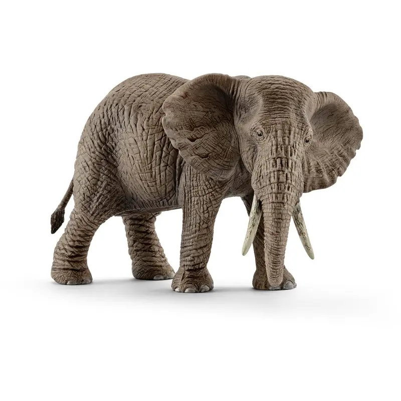 African Elephant: Female
