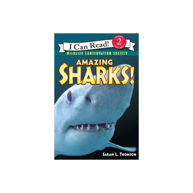 Amazing Sharks!