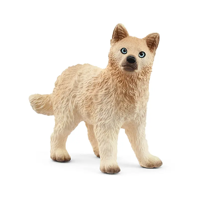 Arctic Wolf cub 2025