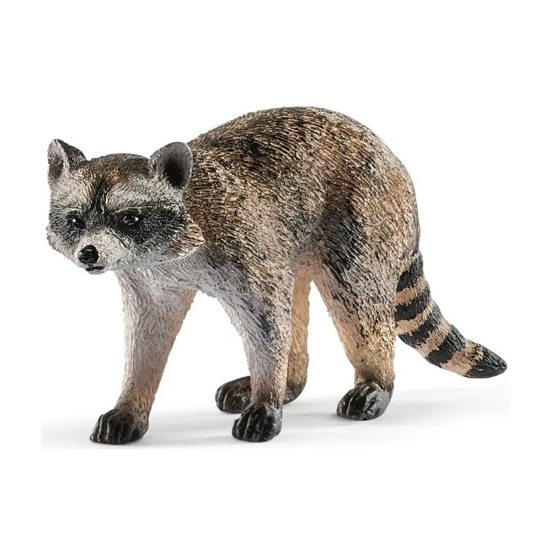 Raccoon