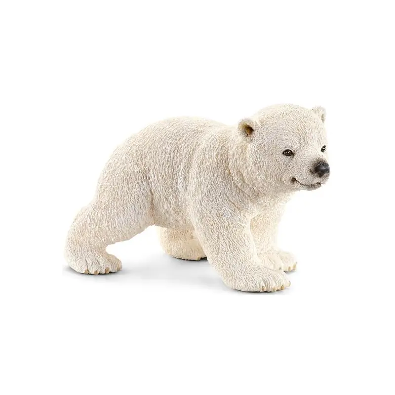 Polar Bear Cub: Walking