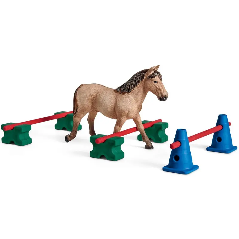 Pony Slalom