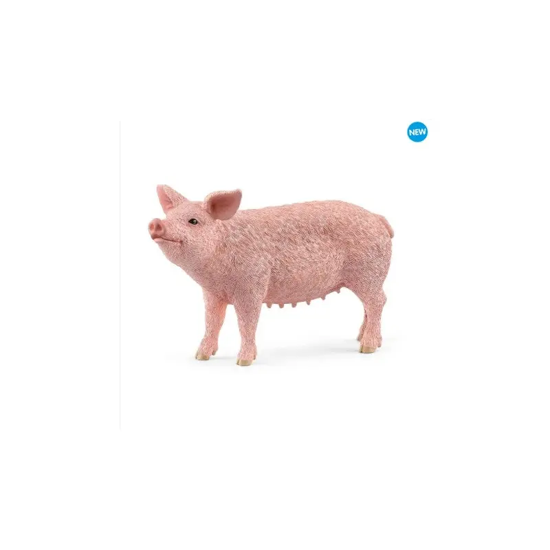 Pig