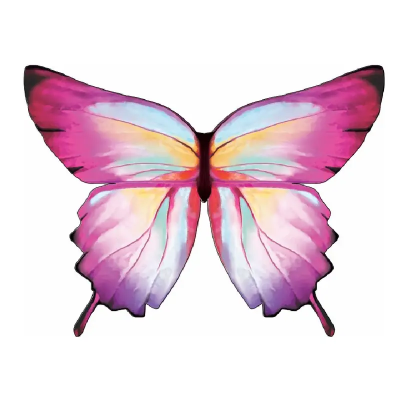 Ombre Butterfly Soft Wings, Size 4- 6