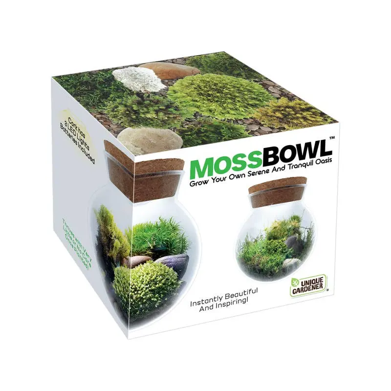 Moss Bowl - Grow Your Own Oasis