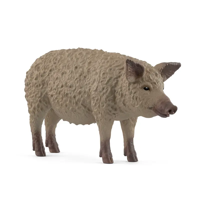 Mangalica Pig 2025