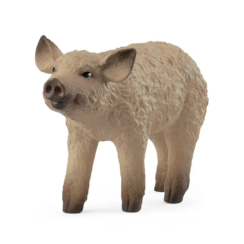 Mangalica Piglet 2025