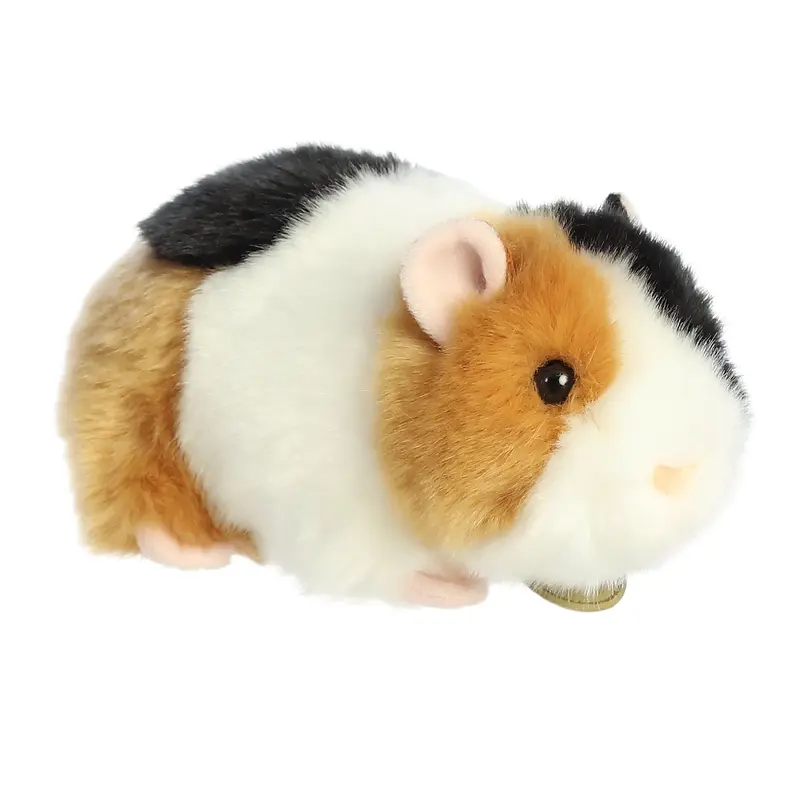 7.5 American Guinea Pig