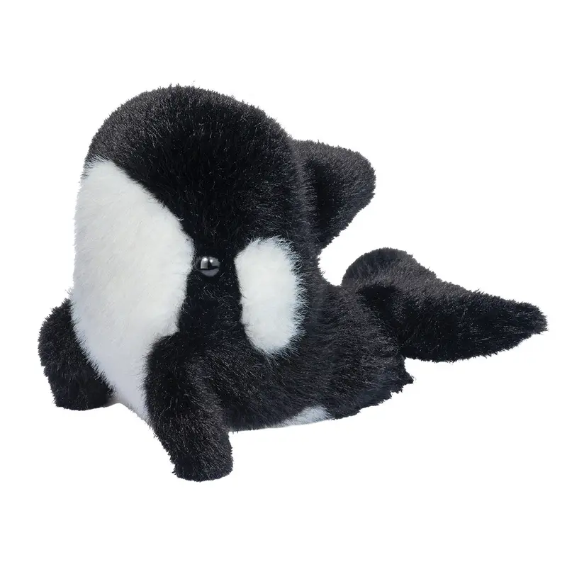 Lil Baby Orca Whale