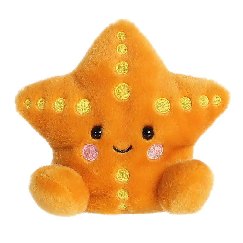 5 Treasure Starfish
