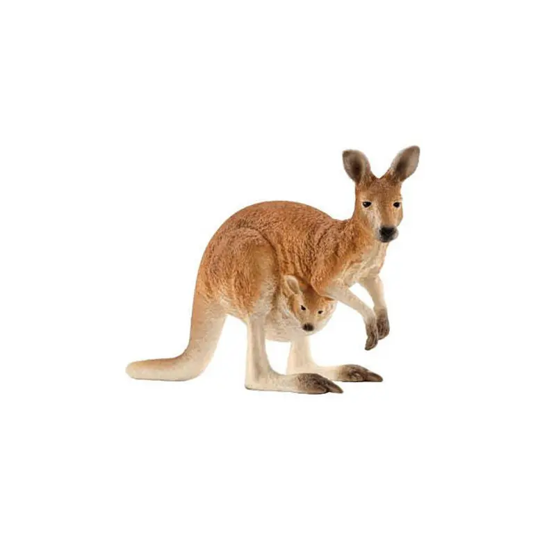 Kangaroo