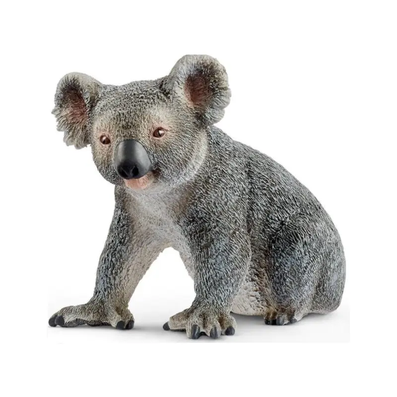 Koala Bear