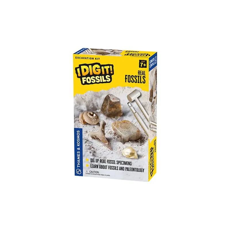 I Dig It! Fossils - Real Fossils  Excavation Kit