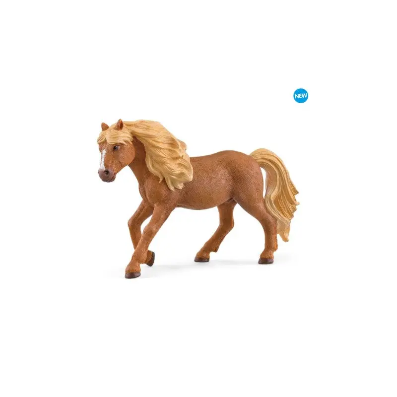 Island Pony Stallion