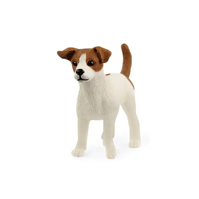 Jack Russell Terrier