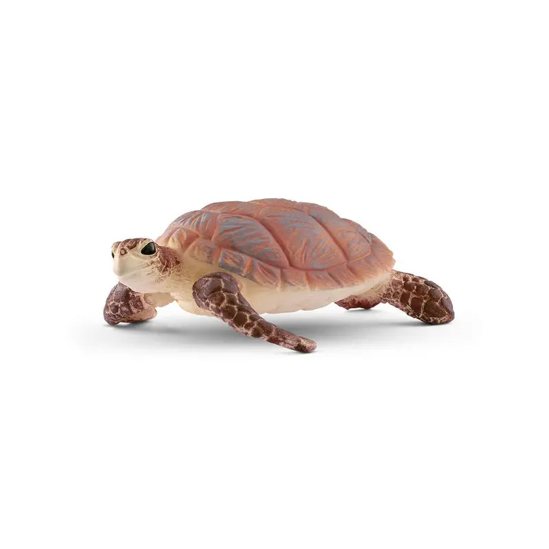 Hawskbill Sea Turtle