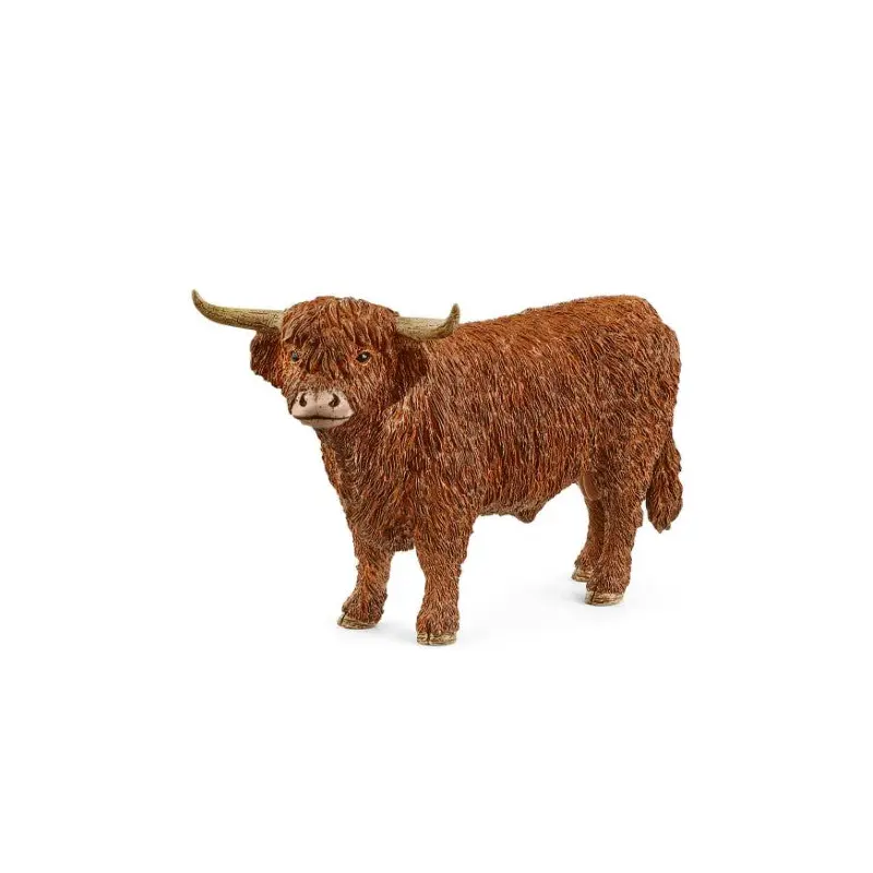 Highland Bull