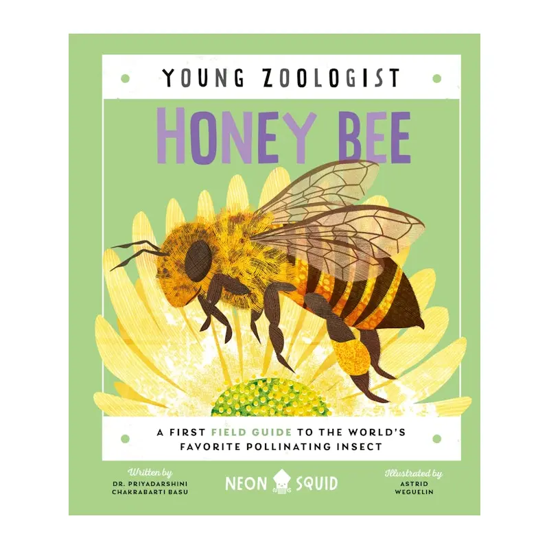 Honey Bee (Young Zoologist)