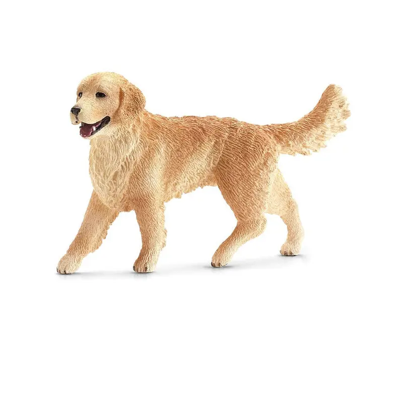 Golden Retriever: Female