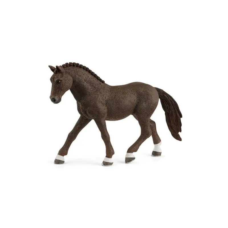 German Riding Pony: Gelding