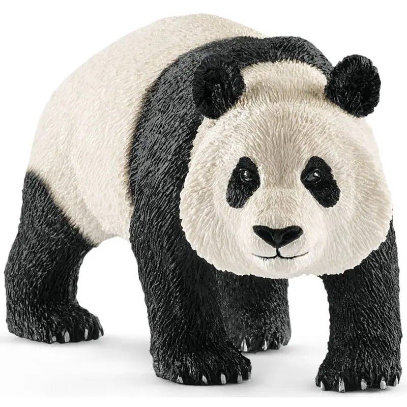 Giant Panda, male