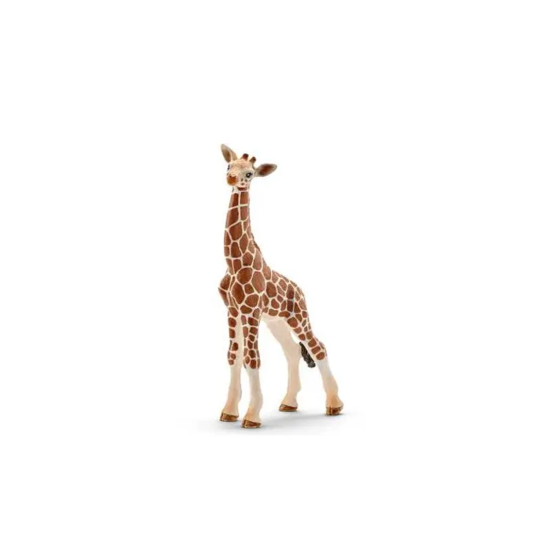 Giraffe: Calf