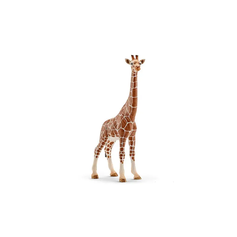 Giraffe: Female