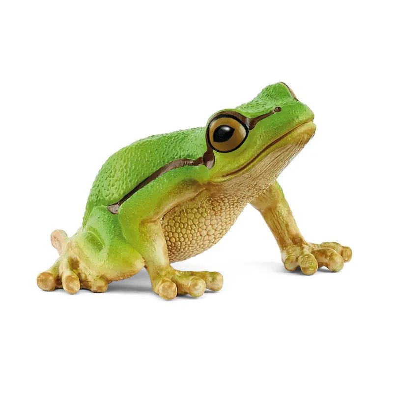European Tree Frog 2025