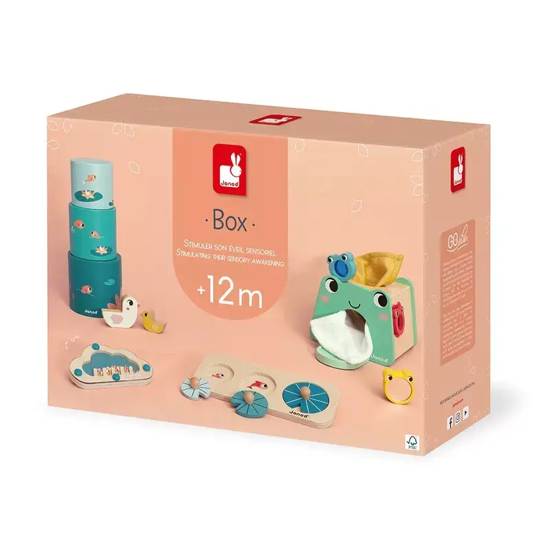Janod Developmental Activity Box - 12mo