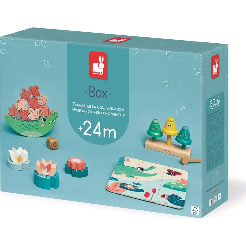 Janod Developmental Activity Box - 24mo