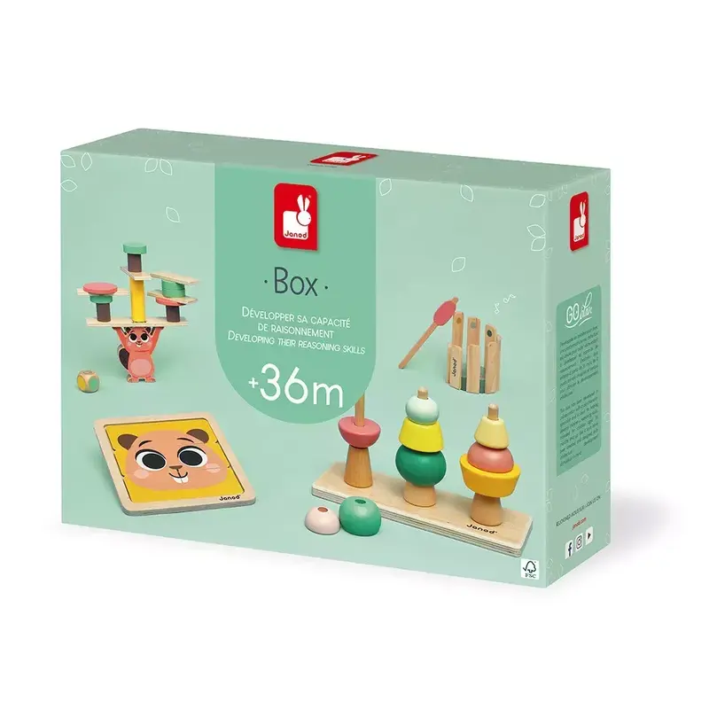 Janod Developmental Activity Box - 36mo