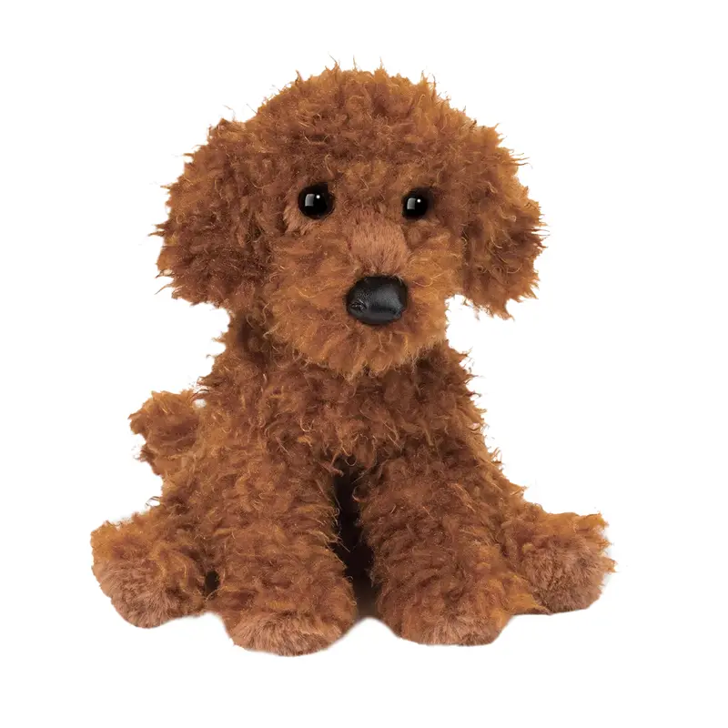Ginger Miniature Poodle