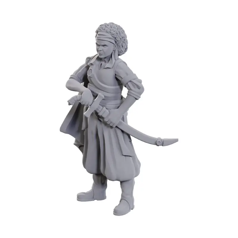 Dungeons & Dragons Nolzurs Marvelous Miniatures: Ansalon Human Rogue