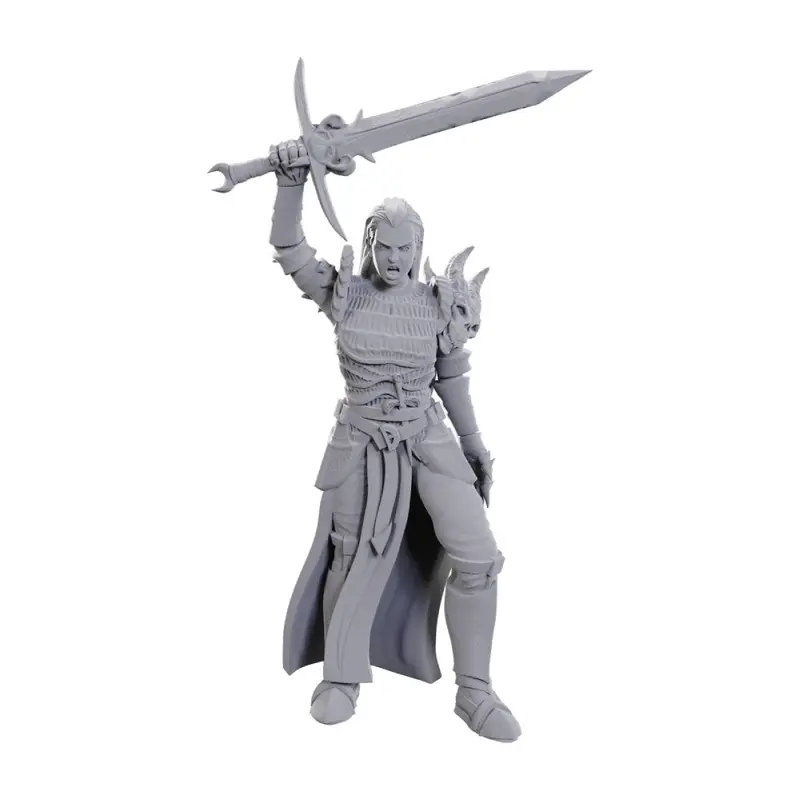 Dungeons & Dragons Nolzurs Marvelous Miniatures: Blackguard