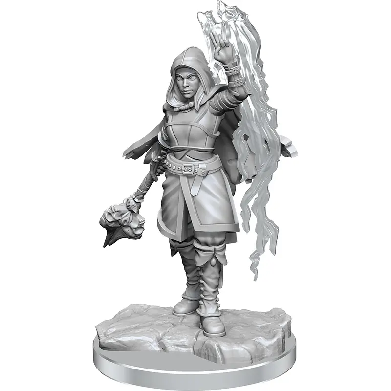Dungeons & Dragons Nolzurs Marvelous Miniatures Half-Elf Warlock