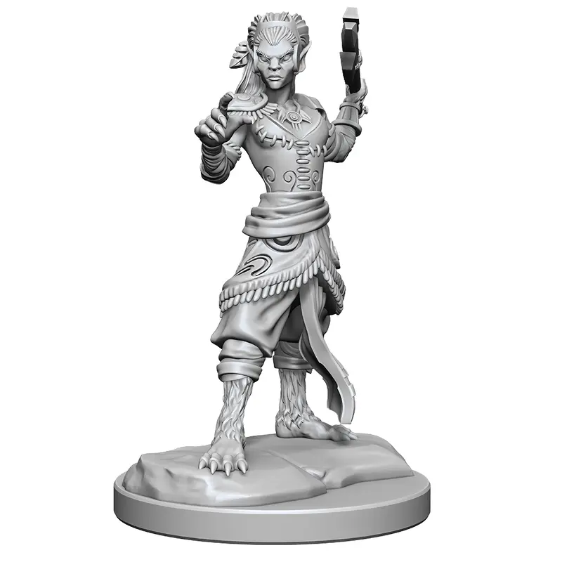 Dungeons & Dragons Nolzurs Marvelous Miniatures Shifter Fighter