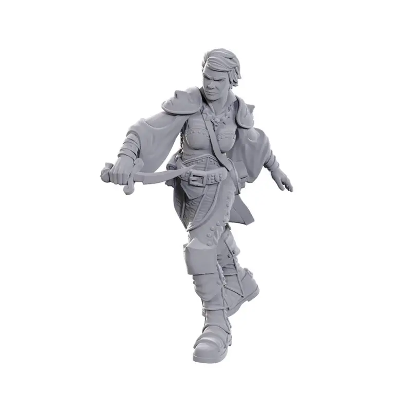Dungeons & Dragons Nolzurs Marvelous Miniatures: Swashbuckler