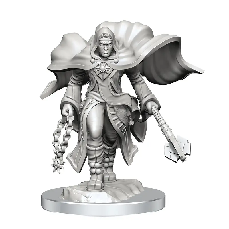 Dungeons & Dragons Nolzurs Marvelous Unpainted Miniatures Aasimar Cleric Male
