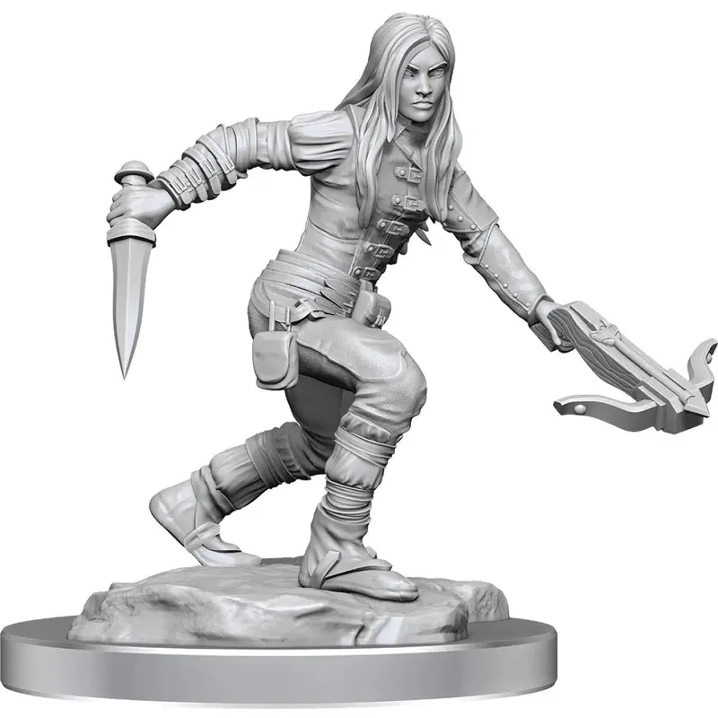 Dungeons & Dragons Nolzurs Marvelous Unpainted Miniatures Half-Elf Rogue Female
