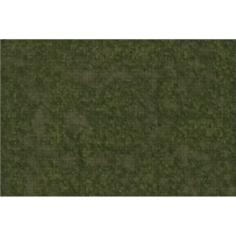 Dungeons & Dragons - Icons of the Realms - Grasslands Battle Mat