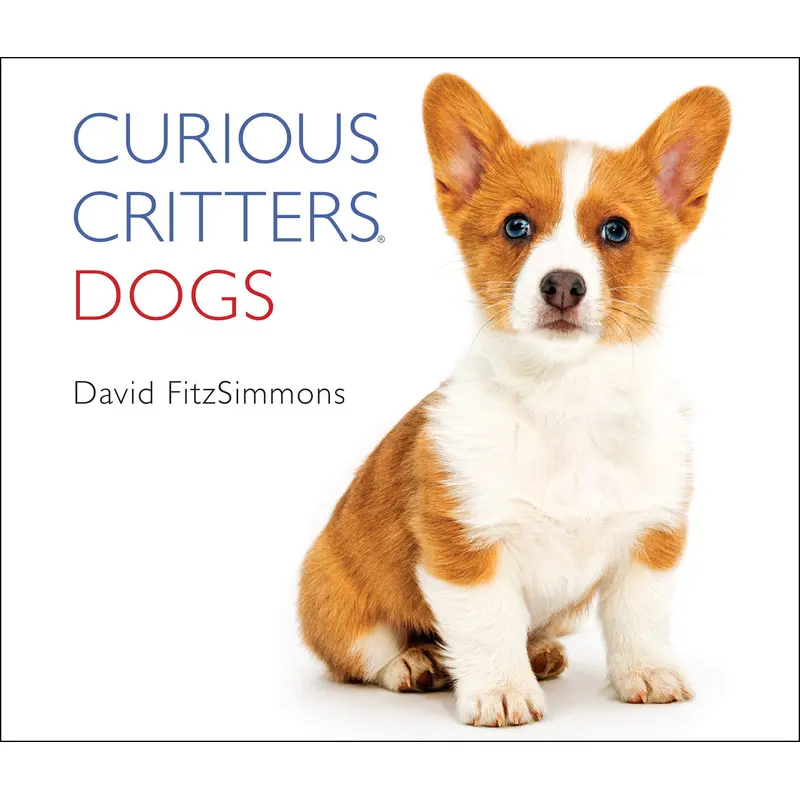 Curious Critters Dogs