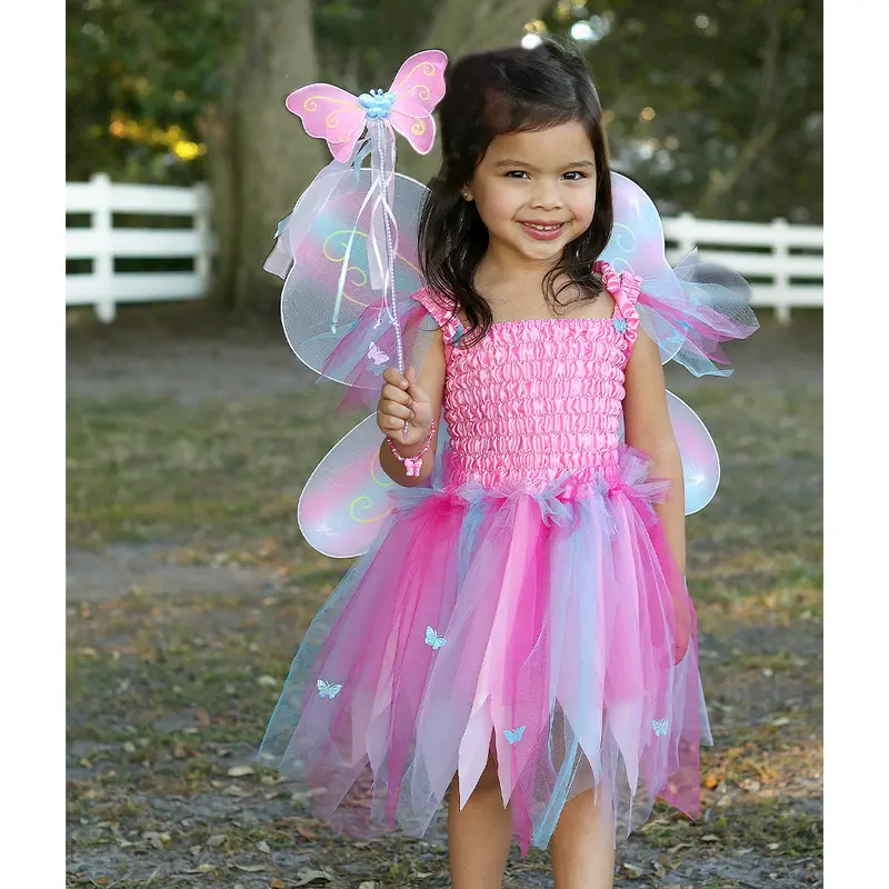 Butterfly Dress & Wings With Wand, Pink/Multi, Size 5-6