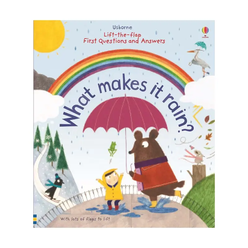 What makes it Rain Book