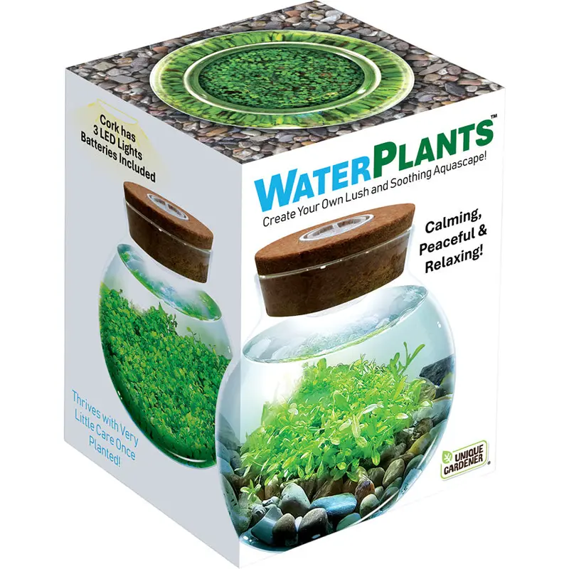 Water Plants - Create Your Own Aquascape