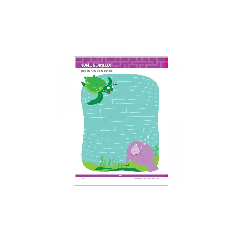 Big Mazes And More Book