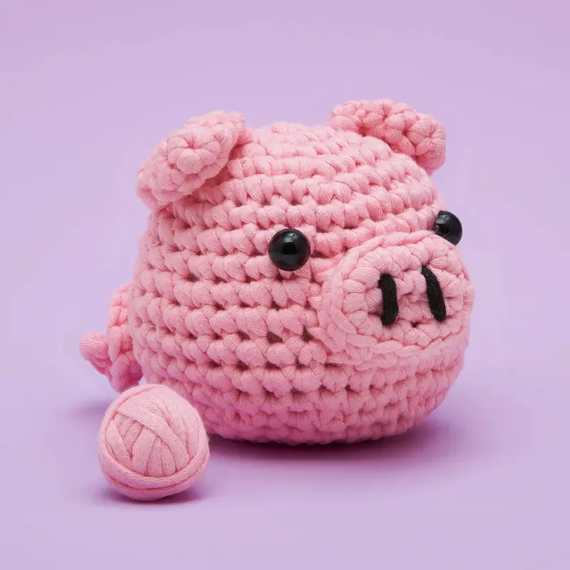 Bacon The Pig Beginner Crochet Kit