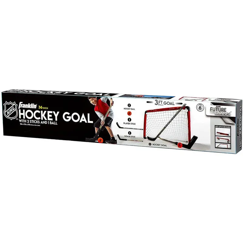 NHL Youth street Hockey Goal Set