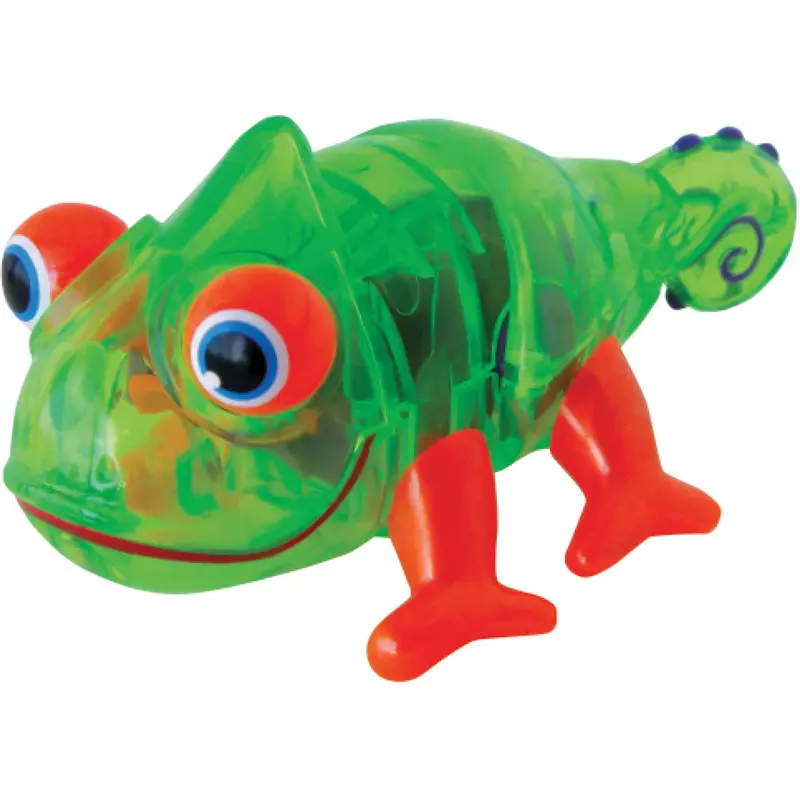 Neil - Crawling Gecko