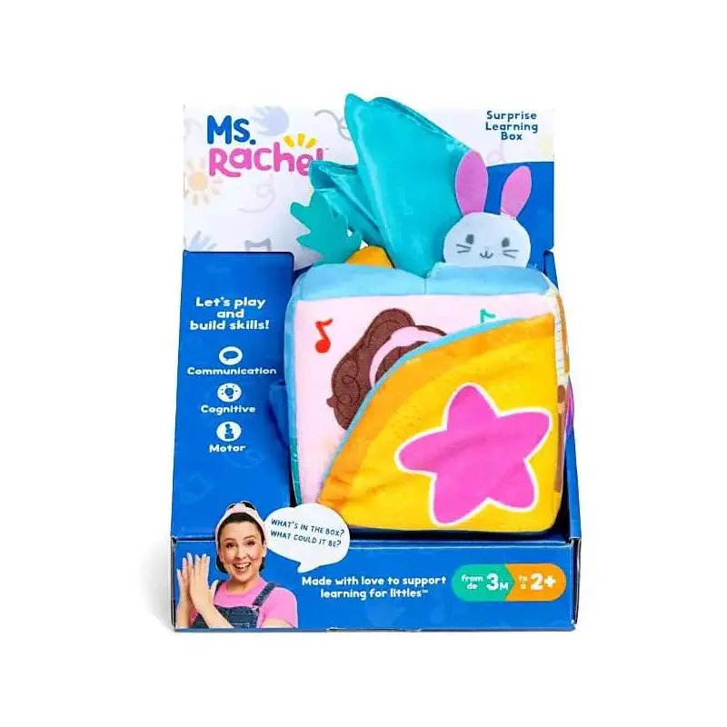 Ms. Rachel Surprise Learning Box