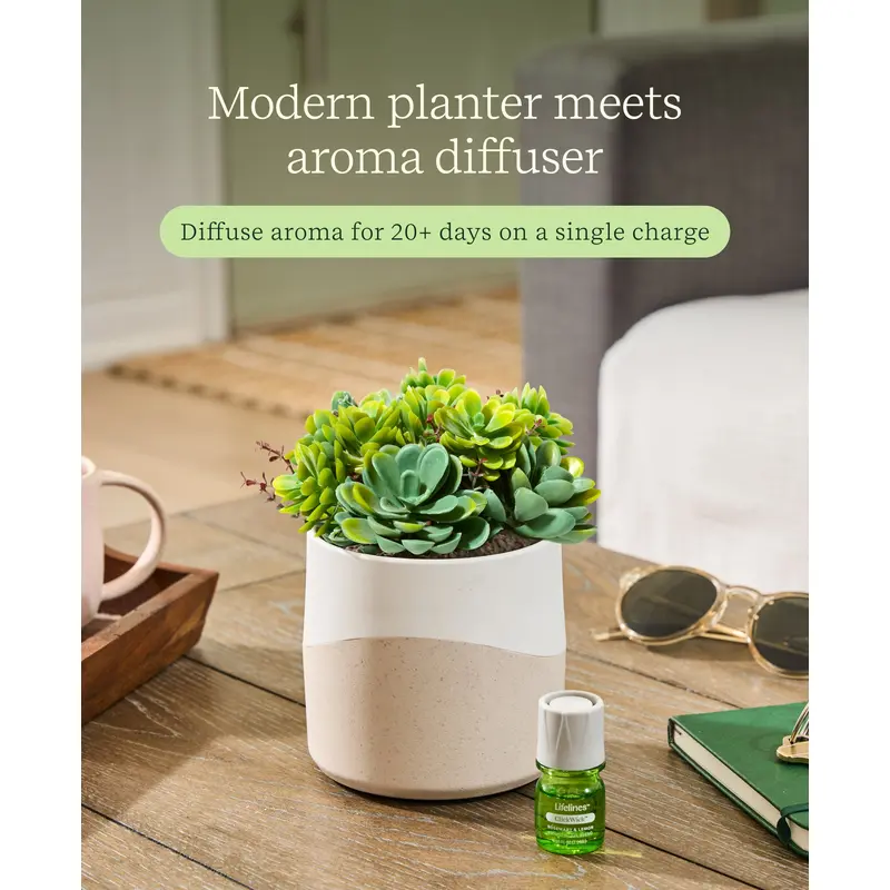Lifelines Planter Diffuser - Two Tone Succulent